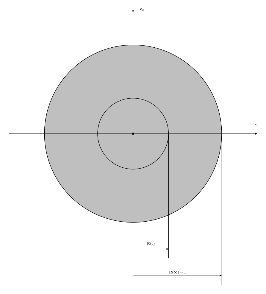 Disque de Poincaré